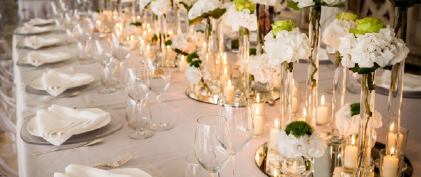 Lolly pop Bay Tree Hire Sydney
