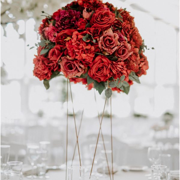 23675008_1500432226730321_5016819002309163726_o