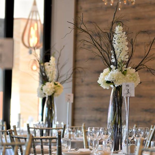 45809620_10156653094605833_2770964310690627584_n